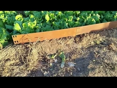 Beira de aço galvanizada 000mm*1.6mm*100mm de 1SGS Corten que afia a afiação do gramado de Corten